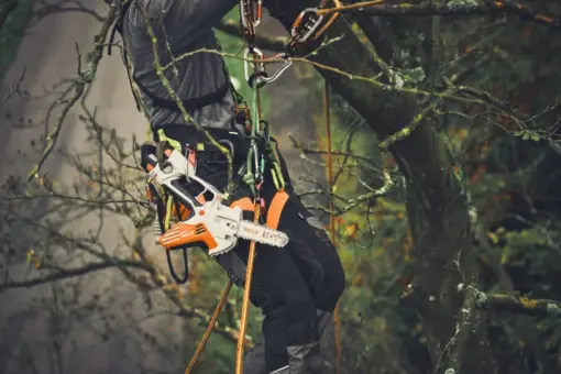 STIHL GTA 40 - Grensag med batteri og lader - Bilde 10